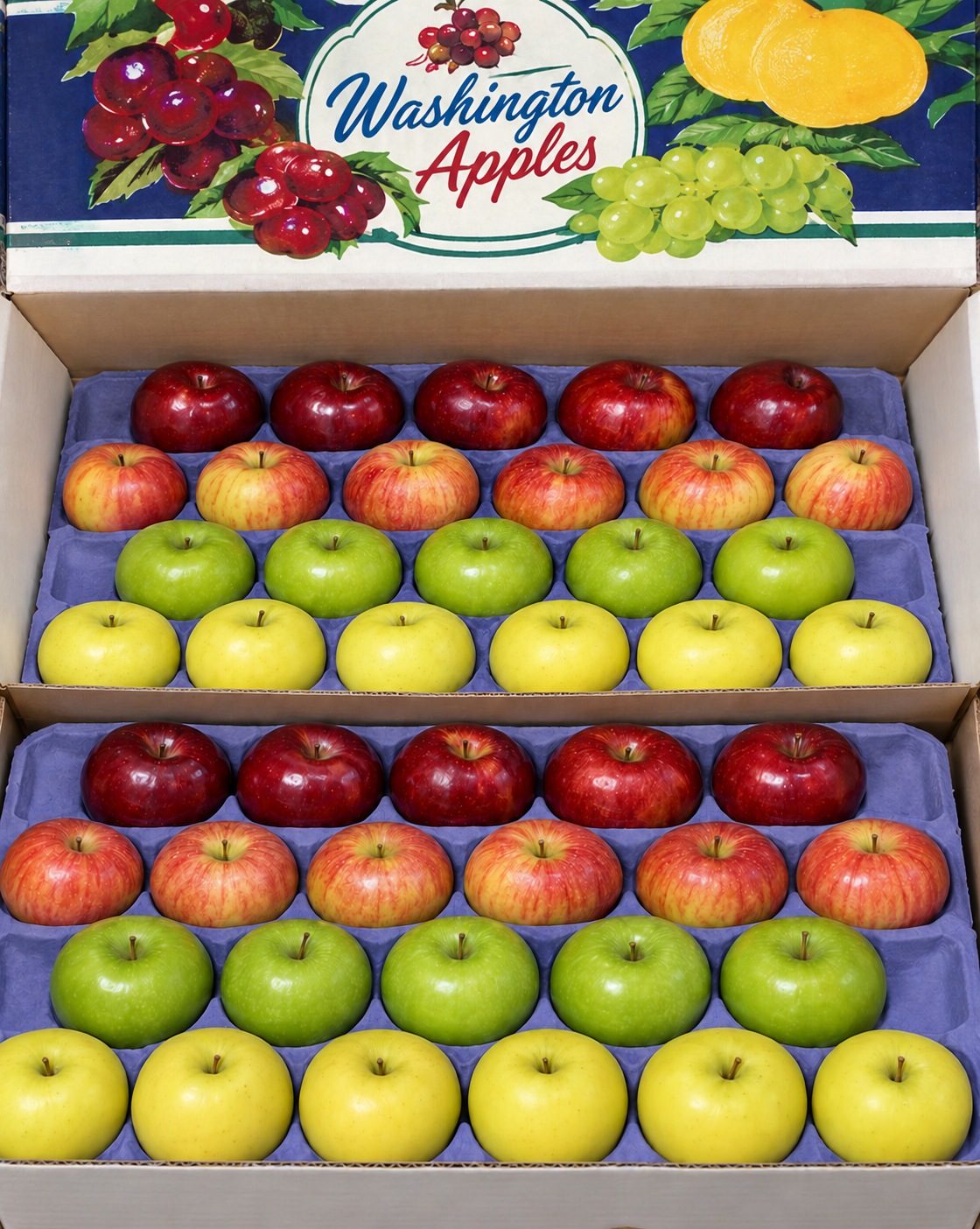 Rainbow Pack 2 layer · Mix 44ct (88s)