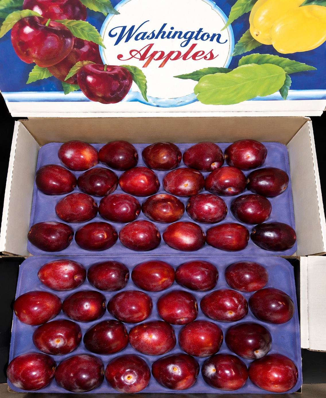 Red Delicious 2 layer · 44ct (88s)