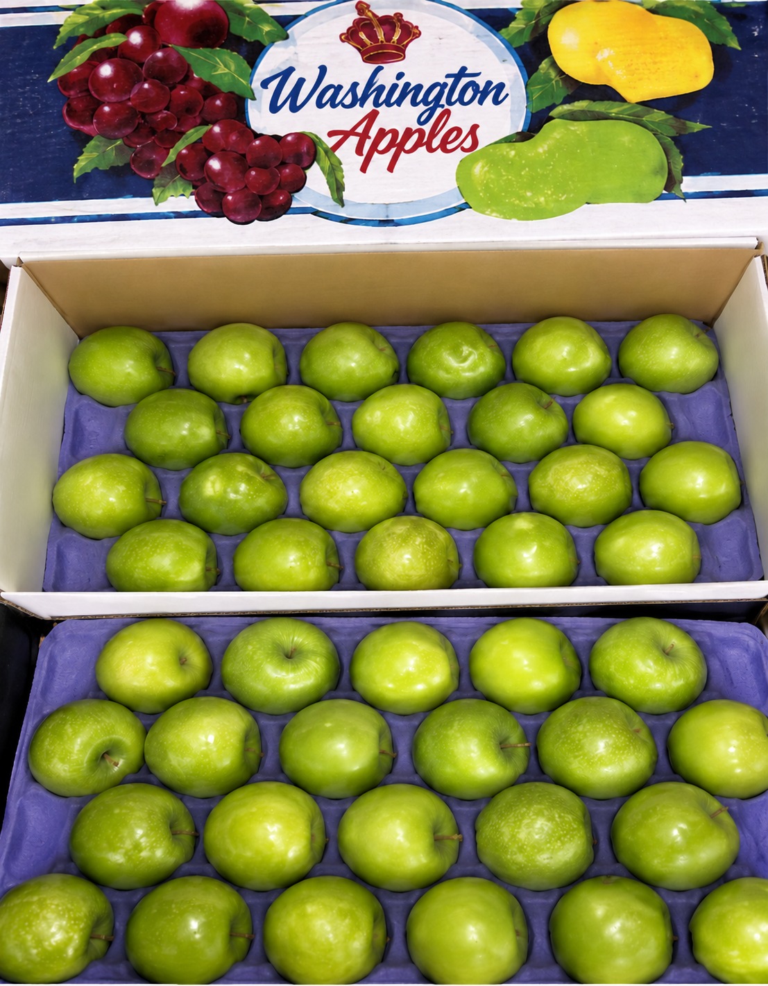 Granny Smith 2 layer · 44ct (88s)